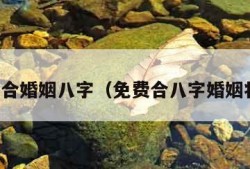 免费合婚姻八字（免费合八字婚姻状况）