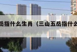 三山五岳指什么生肖（三山五岳指什么生肖或数字）