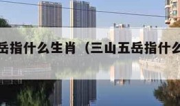 三山五岳指什么生肖（三山五岳指什么生肖或数字）