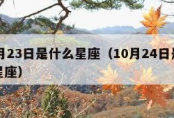 10月23日是什么星座（10月24日是什么星座）