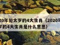 2020年犯太岁的4大生肖（2020年犯太岁的4大生肖是什么意思）