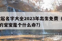 宝宝起名字大全2023年出生免费（2023年的宝宝是个什么命?）