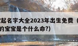 宝宝起名字大全2023年出生免费（2023年的宝宝是个什么命?）