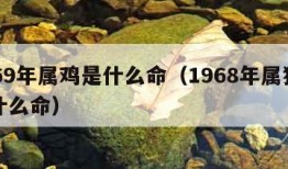 1969年属鸡是什么命（1968年属猴人是什么命）