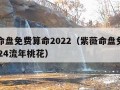 紫薇命盘免费算命2022（紫薇命盘免费算命2024流年桃花）