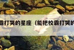 能把校霸打哭的星座（能把校霸打哭的星座女生）