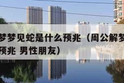 周公解梦梦见蛇是什么预兆（周公解梦梦见蛇是什么预兆 男性朋友）