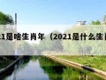 2021是啥生肖年（2021是什么生肖呢）