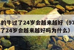 97年的牛过了24岁会越来越好（97年的牛过了24岁会越来越好吗为什么）