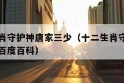 十二生肖守护神唐家三少（十二生肖守护神唐家三少百度百科）