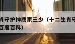 十二生肖守护神唐家三少（十二生肖守护神唐家三少百度百科）