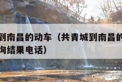 共青城到南昌的动车（共青城到南昌的动车时刻表查询结果电话）