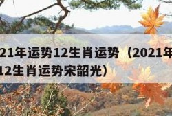 2021年运势12生肖运势（2021年运势12生肖运势宋韶光）