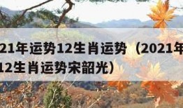 2021年运势12生肖运势（2021年运势12生肖运势宋韶光）