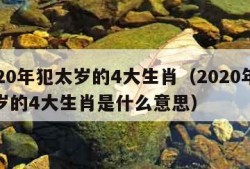 2020年犯太岁的4大生肖（2020年犯太岁的4大生肖是什么意思）