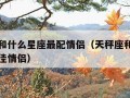 天秤座和什么星座最配情侣（天秤座和什么星座是最佳情侣）