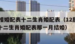 12属相婚配表十二生肖婚配表（12属相婚配表十二生肖婚配表那一月结婚）