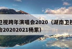 湖南卫视跨年演唱会2020（湖南卫视跨年演唱会20202021杨紫）