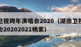 湖南卫视跨年演唱会2020（湖南卫视跨年演唱会20202021杨紫）