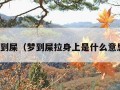 梦到屎（梦到屎拉身上是什么意思）