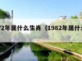 1972年属什么生肖（1982年属什么生肖）