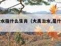 大禹治水指什么生肖（大禹治水,是什么生肖）