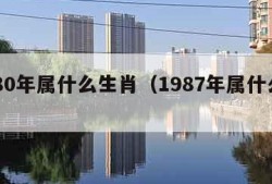 1980年属什么生肖（1987年属什么生肖）