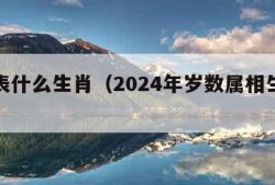 卯代表什么生肖（2024年岁数属相生肖对照表）