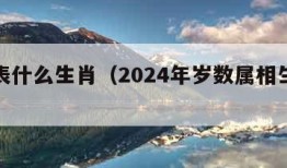 卯代表什么生肖（2024年岁数属相生肖对照表）