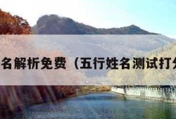 五行姓名解析免费（五行姓名测试打分起名）