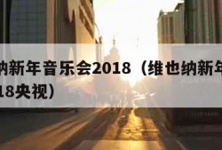 维也纳新年音乐会2018（维也纳新年音乐会2018央视）