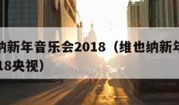 维也纳新年音乐会2018（维也纳新年音乐会2018央视）