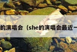 she的演唱会（she的演唱会最近一场）