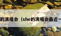 she的演唱会（she的演唱会最近一场）