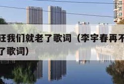 再不疯狂我们就老了歌词（李宇春再不疯狂我们就老了歌词）