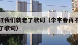 再不疯狂我们就老了歌词（李宇春再不疯狂我们就老了歌词）