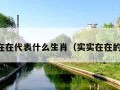 实实在在代表什么生肖（实实在在的生肖）