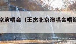 王杰北京演唱会（王杰北京演唱会唱海阔天空）