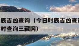 今日时辰吉凶查询（今日时辰吉凶查询三藏,今日吉时查询三藏网）