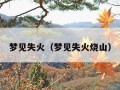 梦见失火（梦见失火烧山）