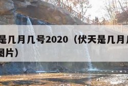 伏天是几月几号2020（伏天是几月几号2023图片）