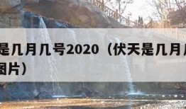 伏天是几月几号2020（伏天是几月几号2023图片）