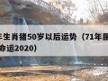 71年生肖猪50岁以后运势（71年属猪50岁命运2020）