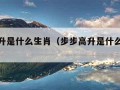 步步高升是什么生肖（步步高升是什么生肖打一肖）