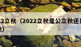 2022立秋（2022立秋是公立秋还是母立秋）