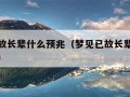 梦见已故长辈什么预兆（梦见已故长辈什么预兆周公）