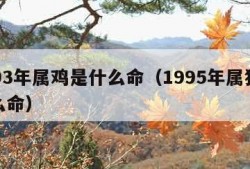 1993年属鸡是什么命（1995年属猪是什么命）