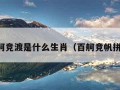 百舸竞渡是什么生肖（百舸竞帆拼音）