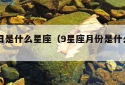 9月8日是什么星座（9星座月份是什么星座）