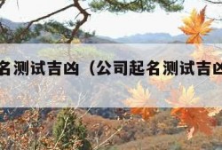 公司起名测试吉凶（公司起名测试吉凶打分周易）